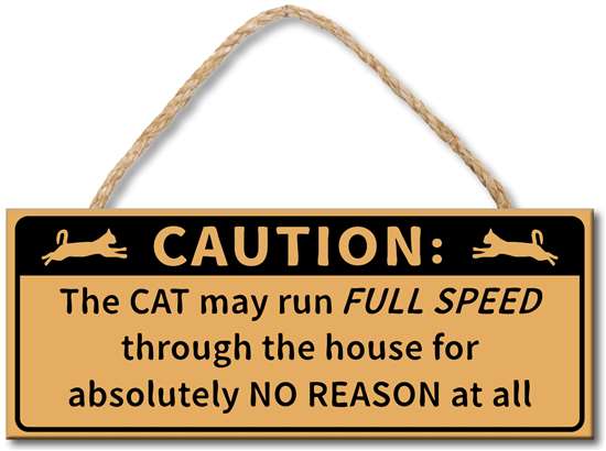 Caution- Cat Rope Sign 4X10