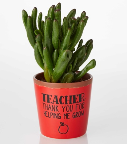 Planter-Teacher/Grow