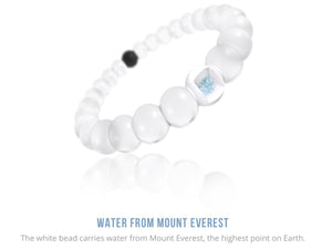 Lokai Bracelet